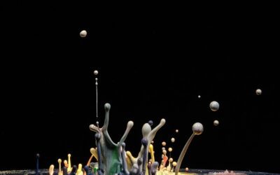 The Inertial Field